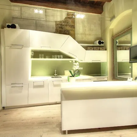 Apartment Charles Iv